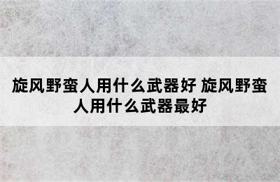 旋风野蛮人用什么武器好 旋风野蛮人用什么武器最好